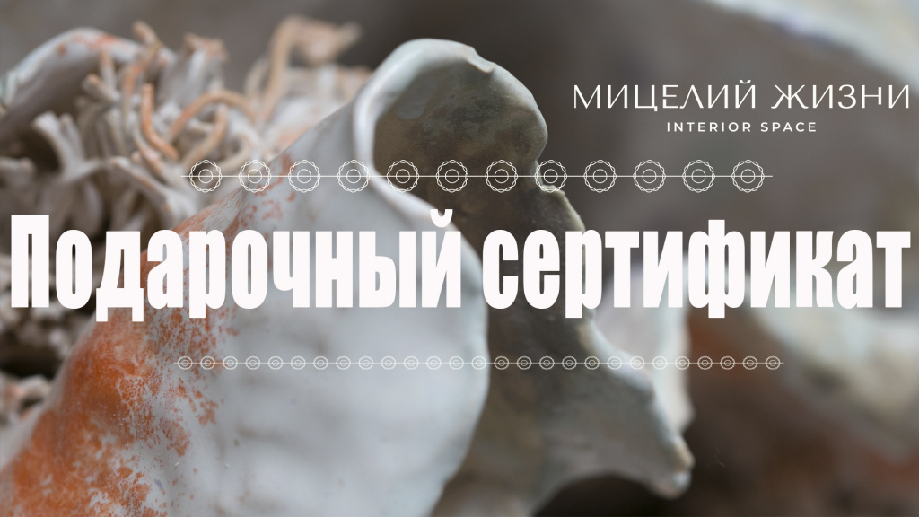сертификат.jpg